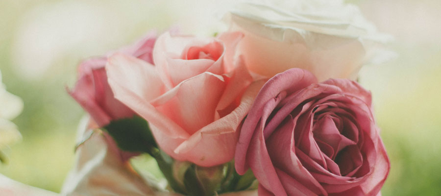 WE SHOULD HOST A VALENTINE'S DINNER