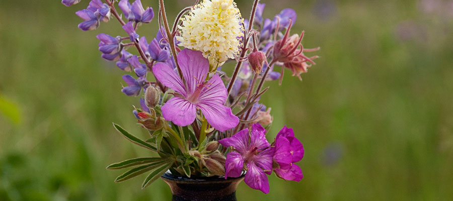 THE STORY OF THE DANDELION VASE