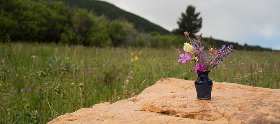 CONSIDER HOW THE LILIES GROW