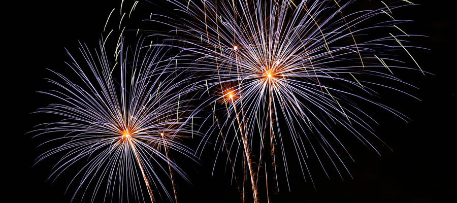 THE NEW YEAR'S RESOLUTION